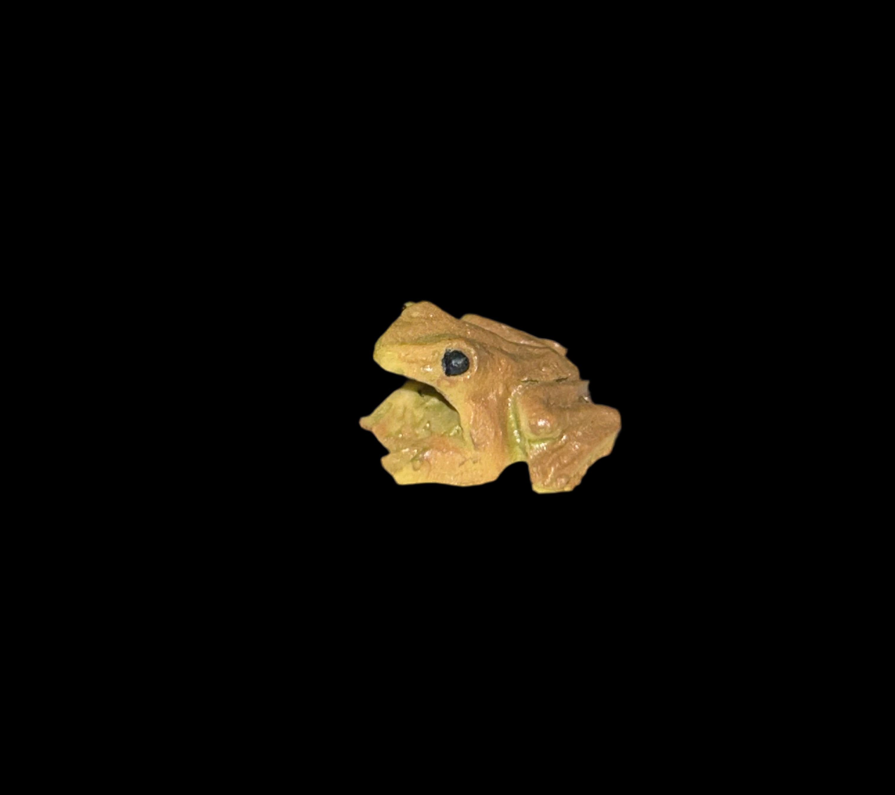 EL COQUI PIN