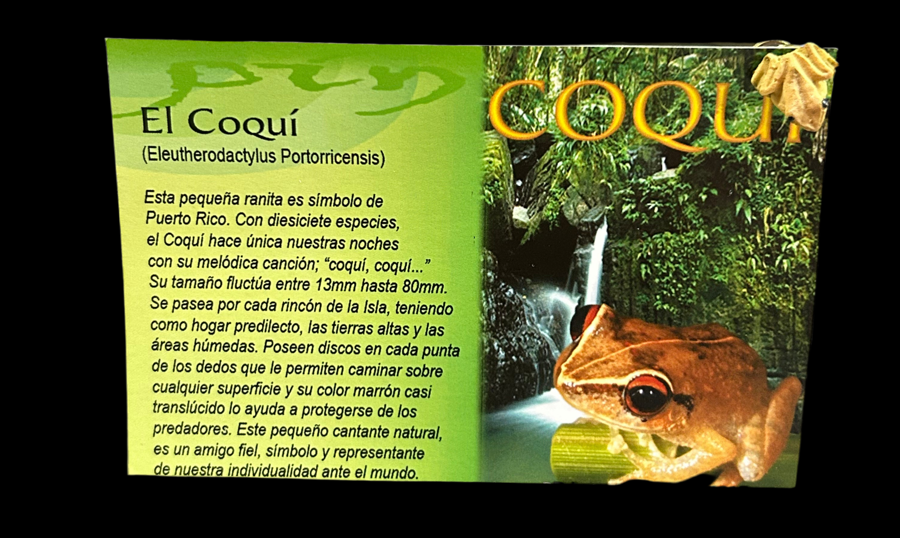 EL COQUI PIN