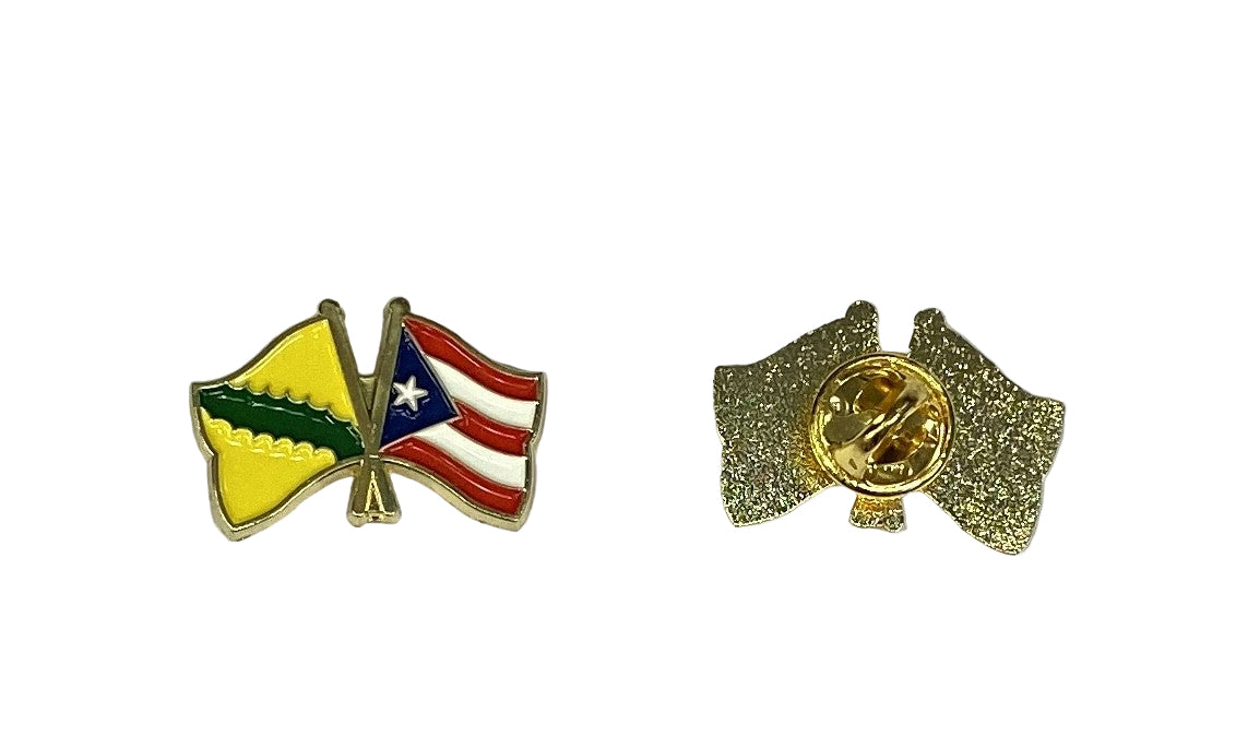 Pins de banderas- Vega Baja y Puerto Rico