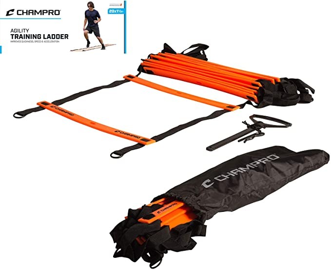 20’ x 17” Training Ladder