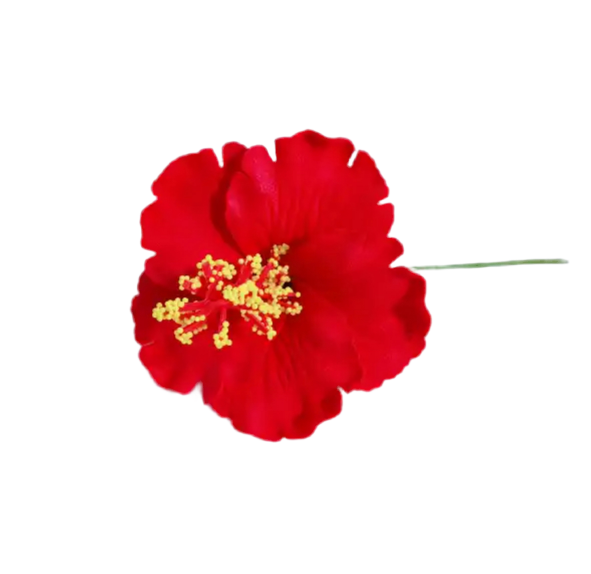 FLOR DE MAGA AMAPOLA-TYPICAL FLOWER OF PUERTO RICO, MAGA