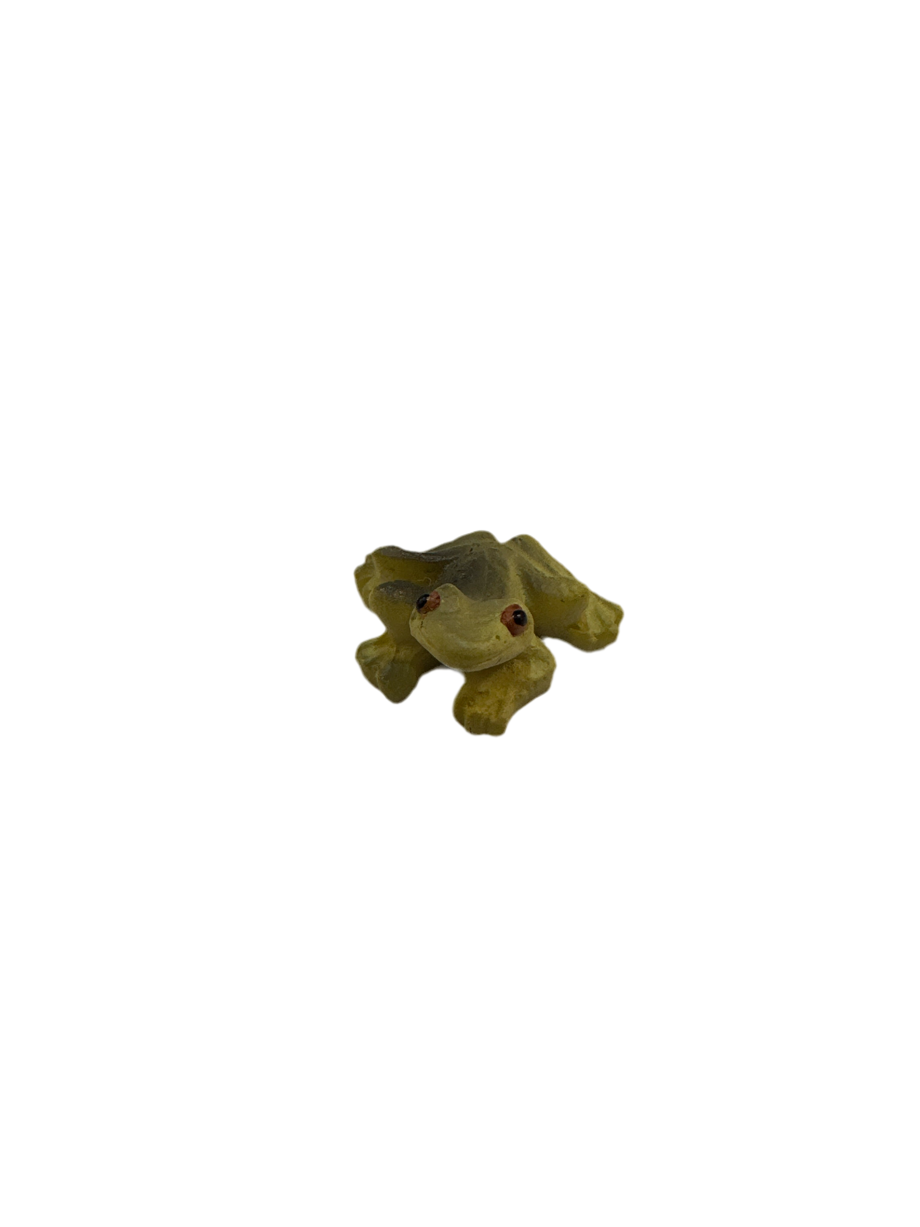 COQUI MINI