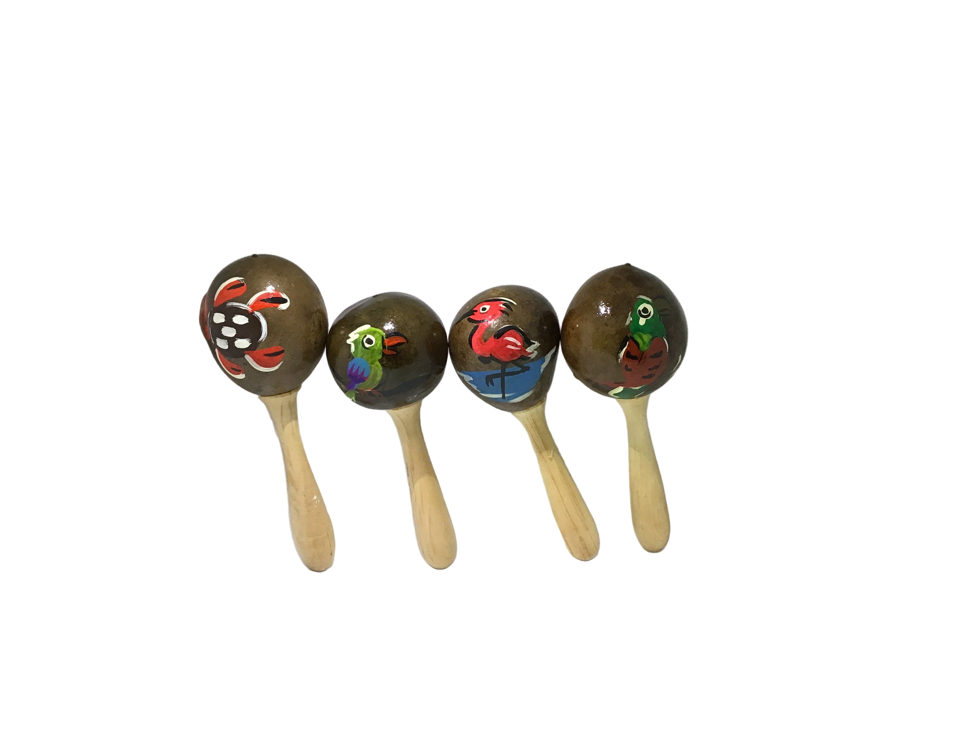 RANDOM NATURAL MARACAS WITH DIFFERENT DESIGN