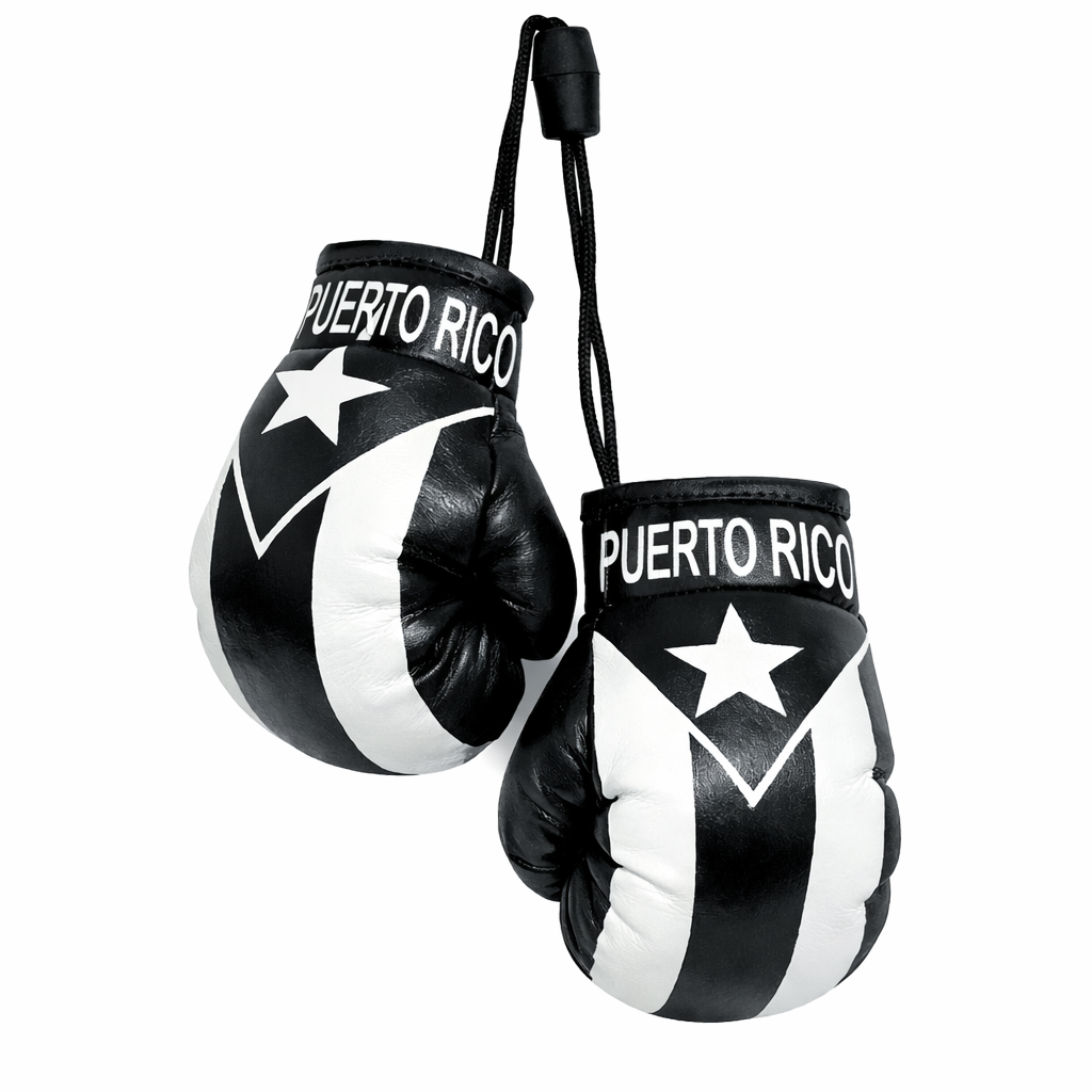PUERTO RICO REARVIEW BOXING GLOVES (BLACK) - GUANTES DE BOXEO DE PUERTO RICO PARA RETROVISOR (NEGRO)