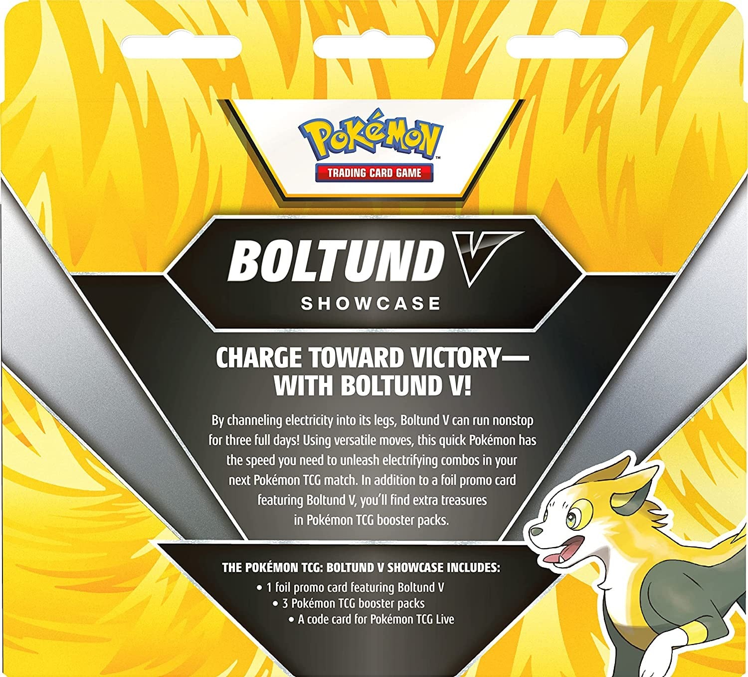 POKEMON - BOLTUND V SHOWCASE