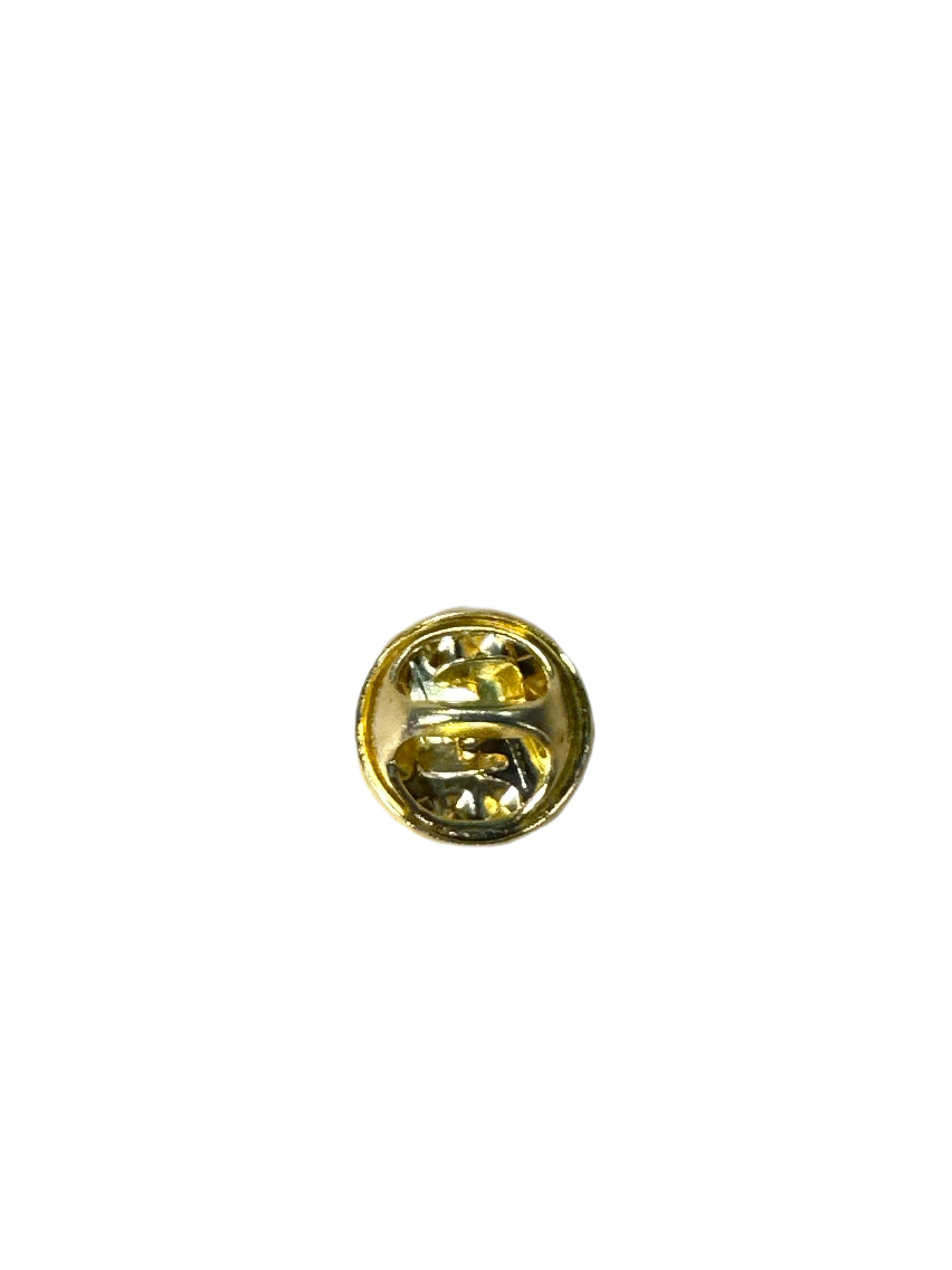 PIN DE COQUI CON BANDERA DE PUERTO RICO