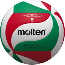 Bola de volleyball Molten V4M4000