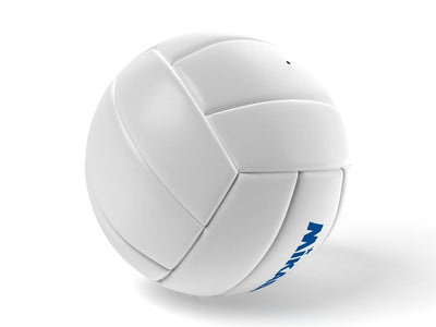Bola de Volleyball Champion V1