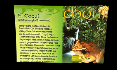 PIN EL COQUI