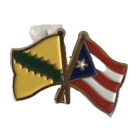 Pins de banderas- Vega Baja y Puerto Rico