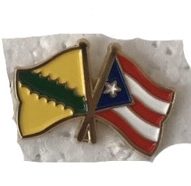 Pins de banderas- Vega Baja y Puerto Rico