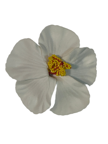 FLOR DE MAGA AMAPOLA-TYPICAL FLOWER OF PUERTO RICO, MAGA