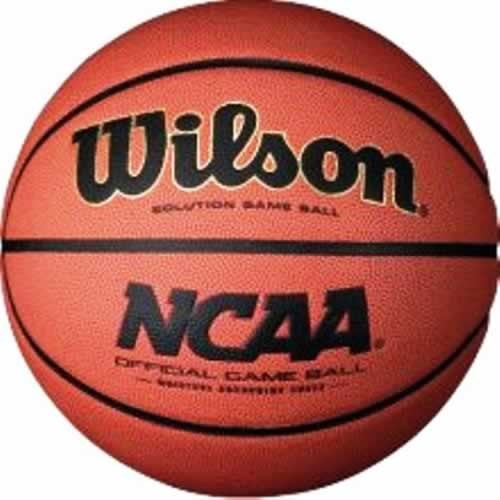 Bola de baloncesto Wilson BO700