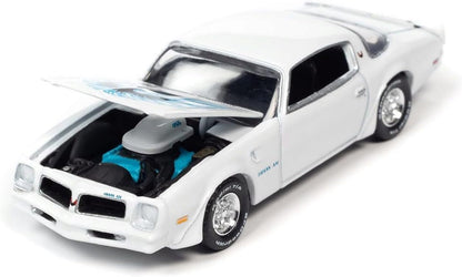 GRÁFICO DEL CAPÓ DEL PONTIAC FIREBIRD TRANS AM CAMEO WHITE BIRD DE 1976 A ESCALA 1/64 - MÚSCULO VINTAGE 