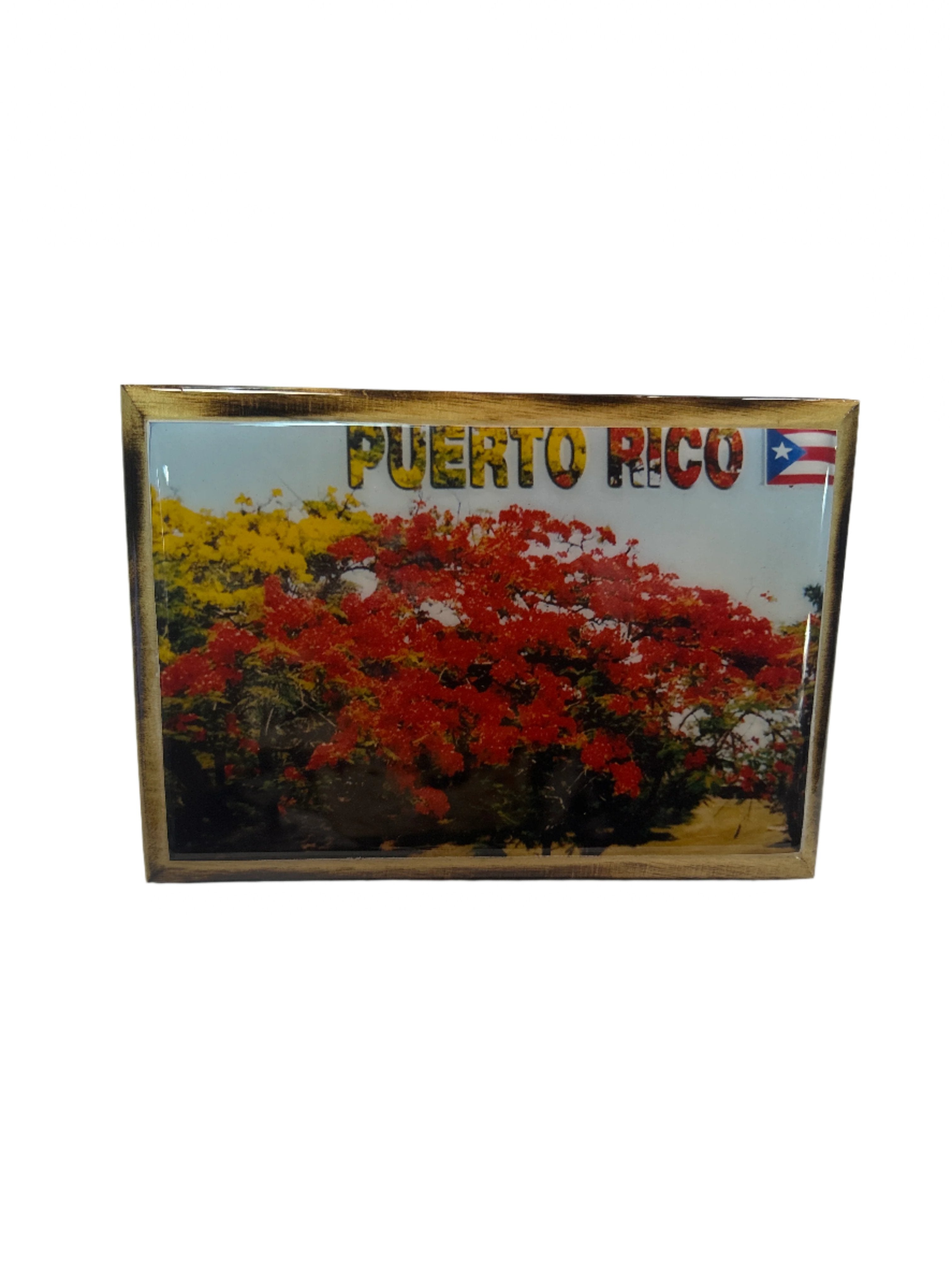 CUADRO 4" X 6" DE PUERTO RICO