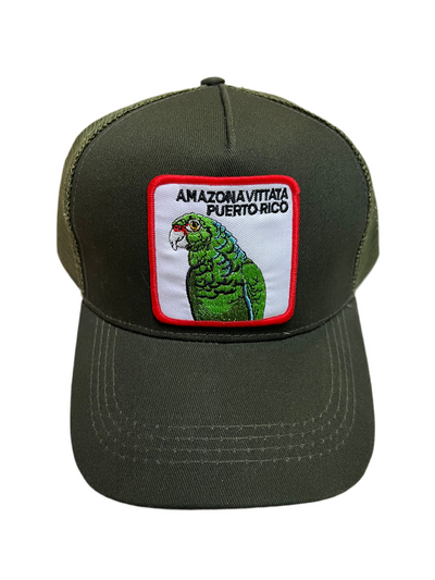 GORRAS DE PUERTO RICO - PUERTO RICO CAP