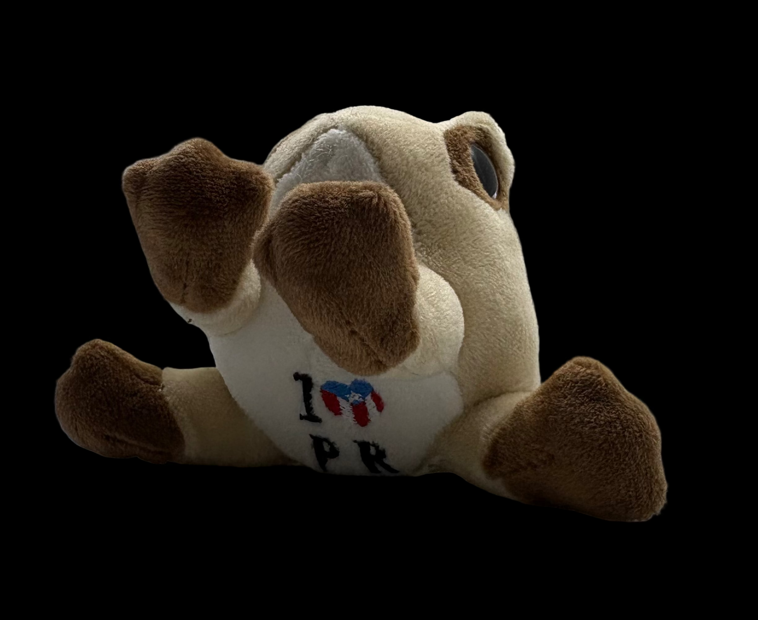 COQUI KEYCHAIN SOUND