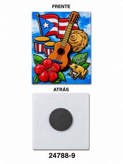 MAGNETO POLYRESINA INSTRUMENTOS CON BANDERA DE PUERTO RICO