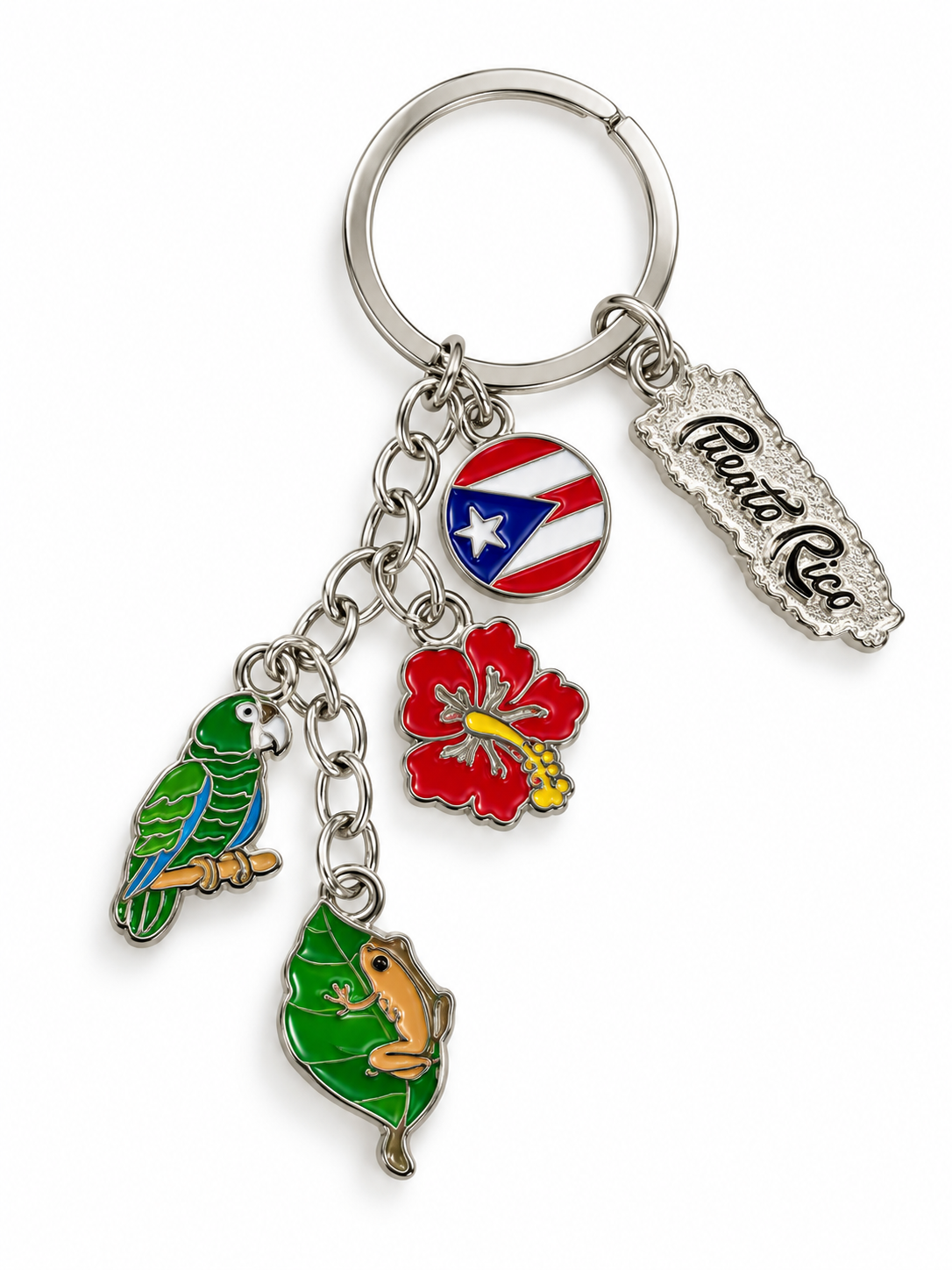 LLAVERO COTORRA, FLOR DE MAGA, COQUI EN HOJA, BANDERA Y MAPA DE PUERTO RICO FCK25-3 FC25-3
