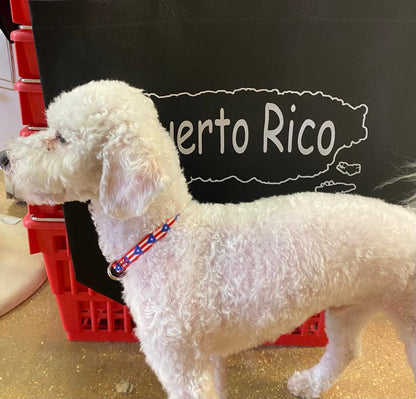 Collar para perro con Bandera de Puerto Rico